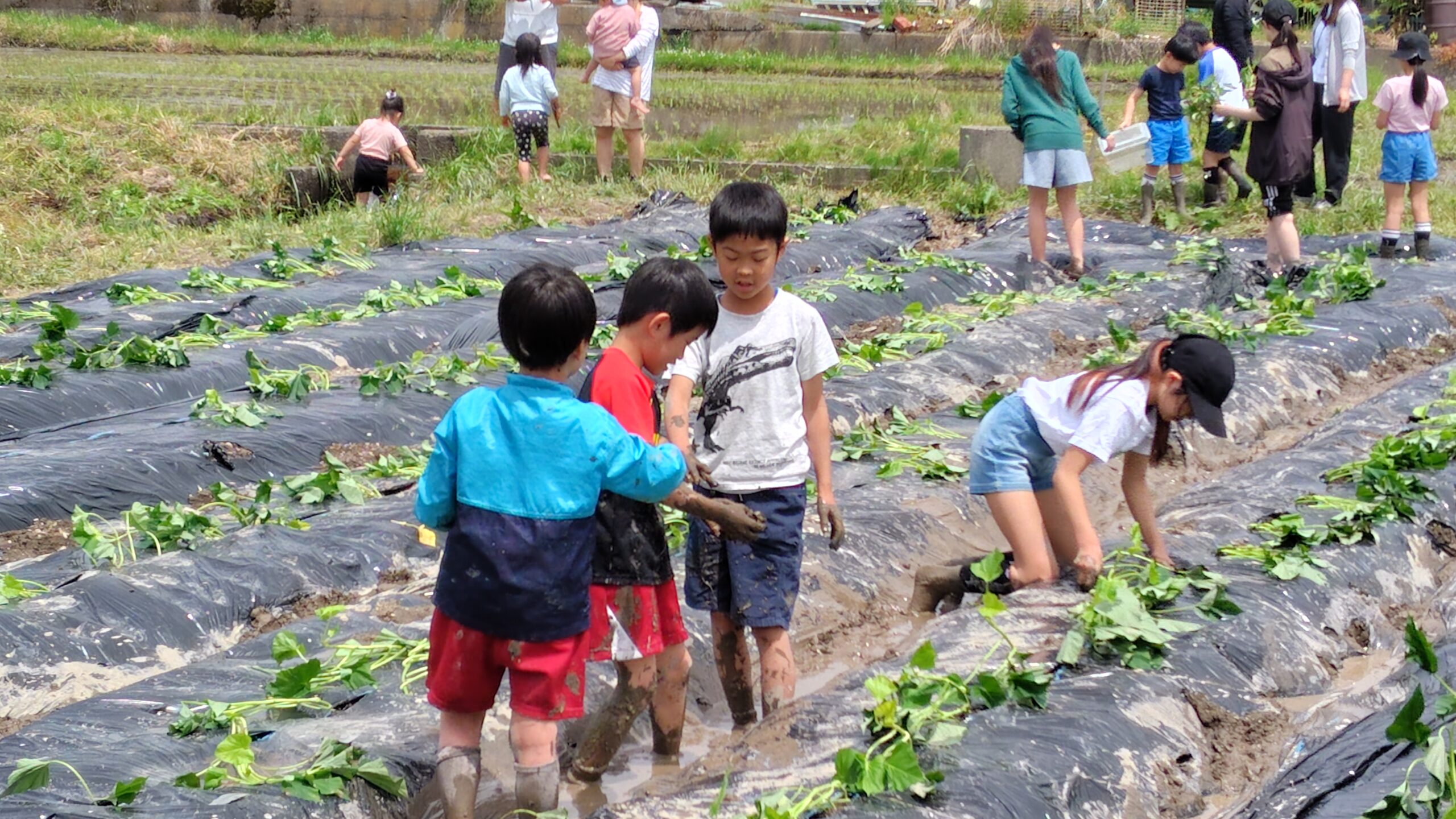 農業体験学習「あぐりの学校 2025」～田畑と心をたがやそう～ を開催